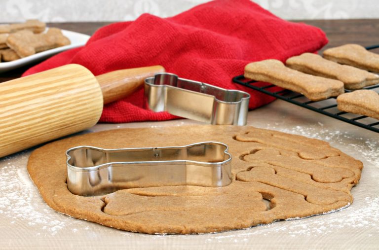 Are Homemade Dog Treats Safe?