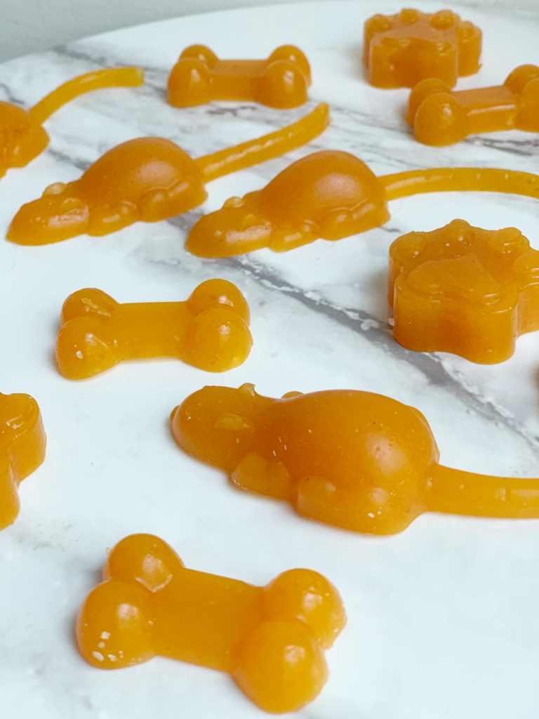 pumpkin jello for dogs