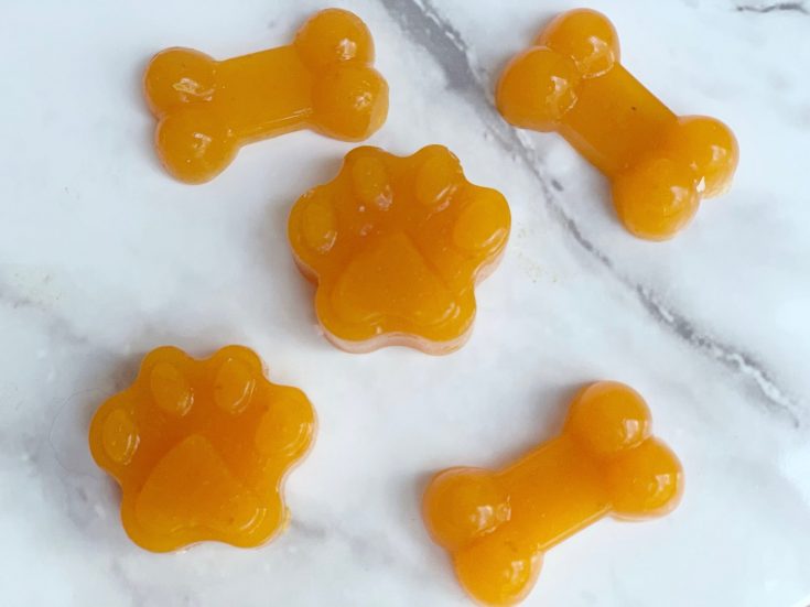 pumpkin gelatin dog treats
