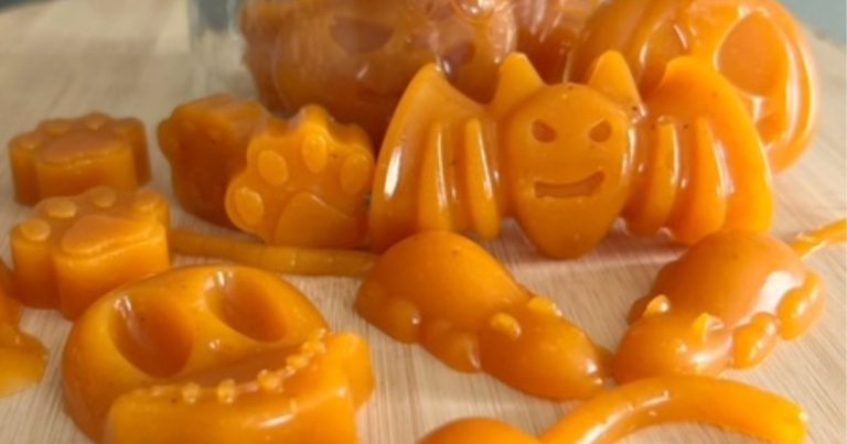 Simple Pumpkin Gummy Dog Treats