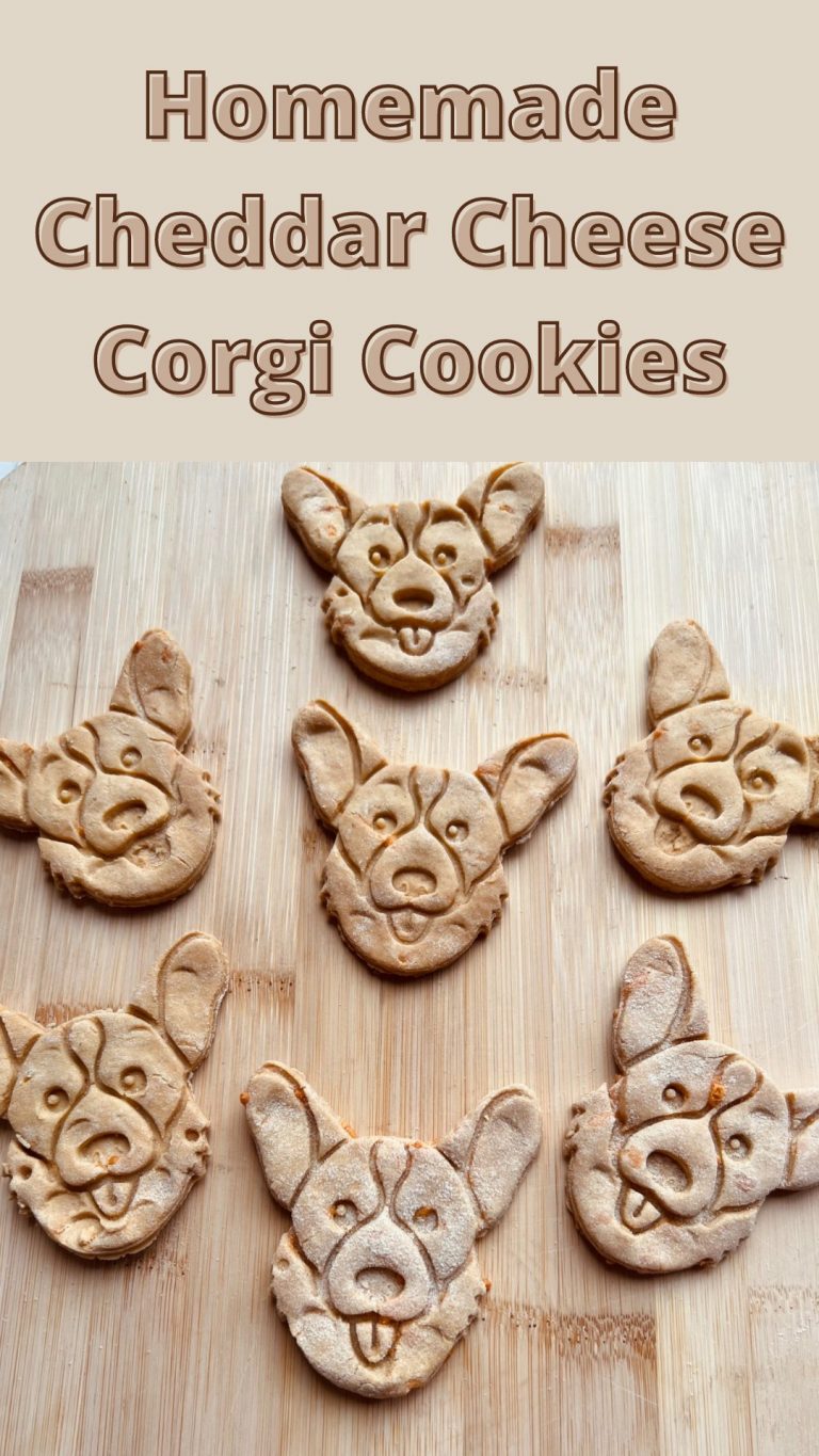 Cheddar Cheese Corgi Cookies