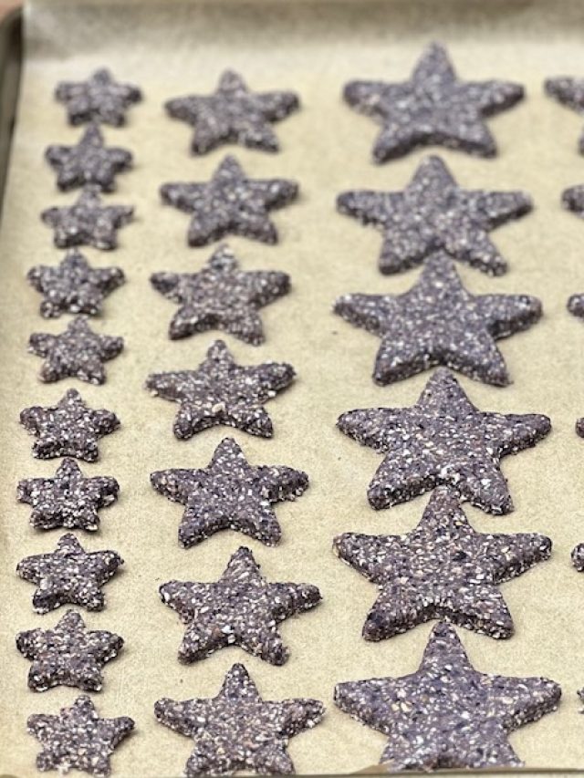 Patriotic Blueberry Oatmeal Baked Dog Treats