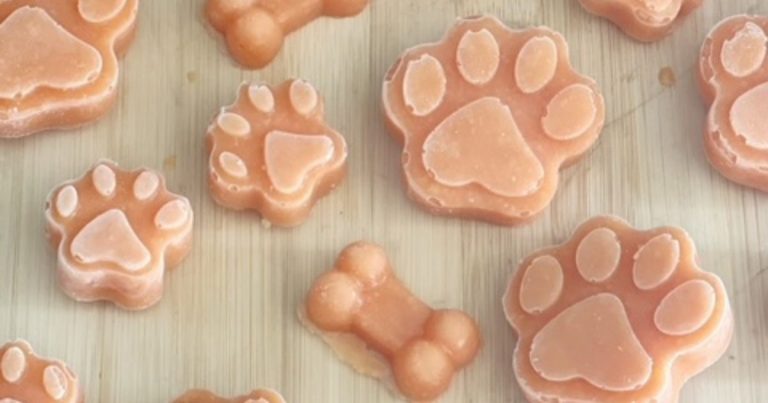 Fresh Papaya Pupsicles