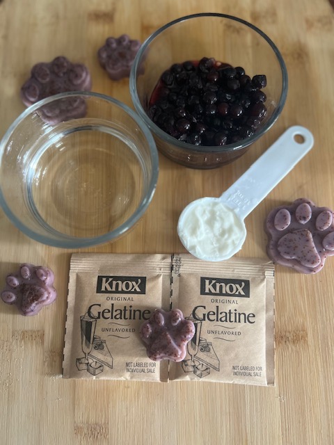 ingredients to make blueberry gummies for dogs