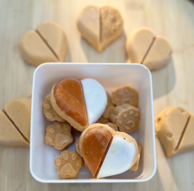 homemade pumpkin dog ice cream in bowl