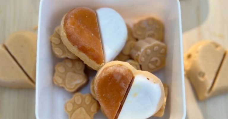 Simple Pumpkin Dog Ice Cream